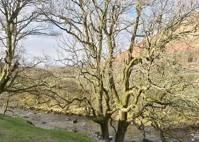 Vakantiehuis Combe Cottage-uk42228 Low Borrowbridge